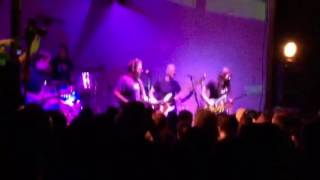 Sonic Bloom - Tripping Daisy