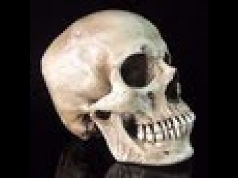 NK WYVERN BLOODDeath LIVE