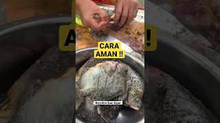 Download lagu CARA AMAN BERSIHIN IKAN KIPER !! HASIL MANCING DI DERMAGA ANCOL mp3