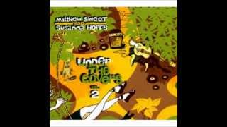 Matthew Sweet & Susanna Hoffs ~ You Can Close Your Eyes