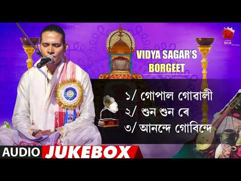 Vidya Sagar's Borgeet Cover