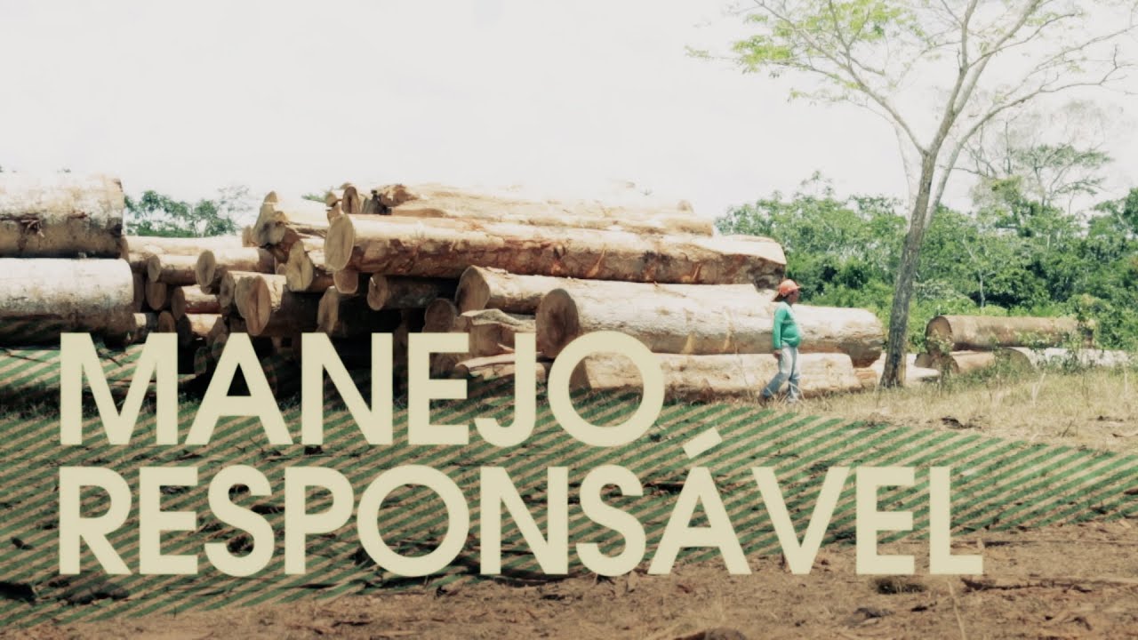 Procure o Selo FSC®!