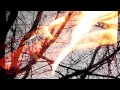 Imogen Heap - The Fire