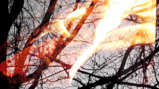 Imogen Heap - The Fire