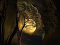 Silence Digitalcreator