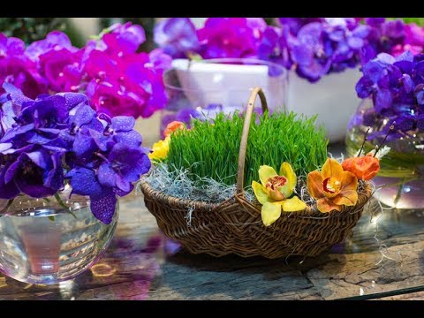 Novruz bayramı ilə əlaqədar yanğın təhlükəsizliyinə dair Fövqəladə Hallar Nazirliyinin əhaliyə müraciəti