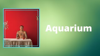 Mac Miller - Aquarium (Lyrics)