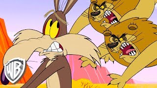 Looney Tunes en Français | La Poisse | WB Kids