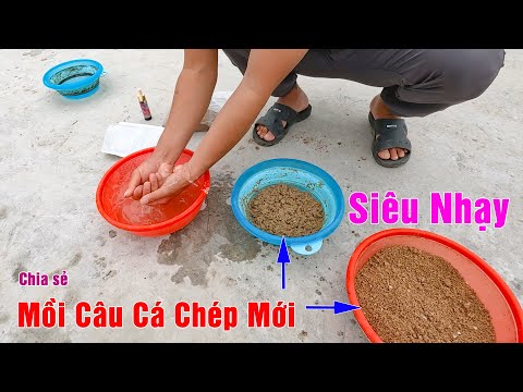 Bài Mồi Câu Cá Chép Mới Hồ Dịch Vụ ➣ Cá Chép Siêu Quấn Ổ, Đóng Cá Liên Tục