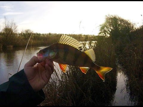 Pirkens aborre tur til RyÅ-Tenkara 2016