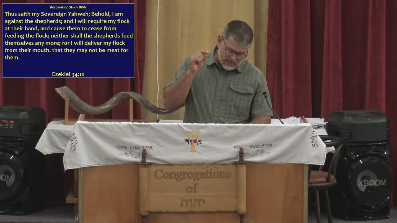 Why Does He Call Us Sheep?