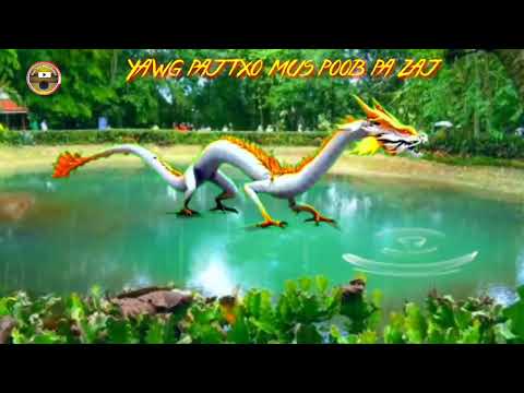 Yawg paj txo mu poob pa zaj 13/11/2022