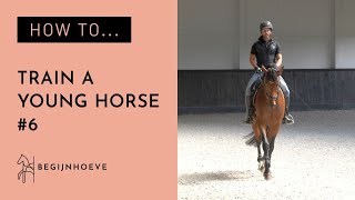 How to ride a young horse? | Begijnhoeve | How to #6