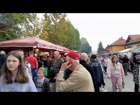 JA. 2022. PURACIC. VASER