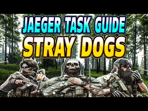 Stray Dogs - Jaeger Task Guide - Escape From Tarkov