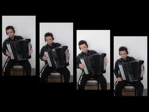 The Neck Belly -  Reel - ( Accordéon)