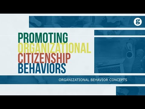 What is Organizational Behavior