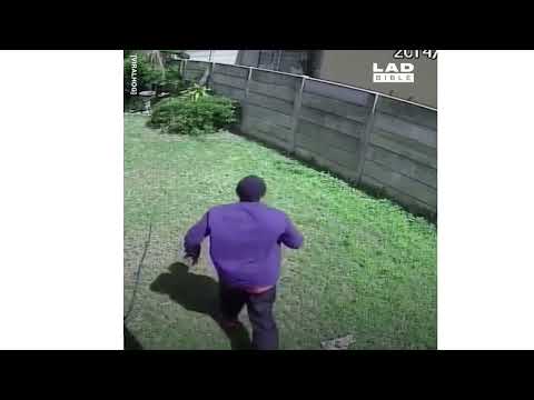 Black Guys Running From Dogs & Jumping Fences! Shorts!