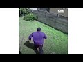 Black Guys Running From Dogs Jumping Fences Shorts
