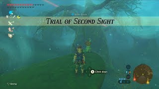 The Legend of Zelda: Breath of the Wild (Wii U) - Shrine Quest - Trial of Second Sight