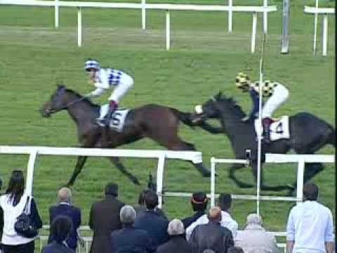 Premio Omenoni 2012 (GR 3)