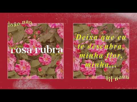 joão não & lil noon - rosa rubra