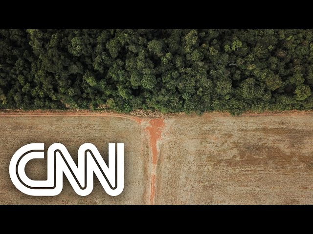 Inpe: Desmatamento na Amazônia passa de 8,5 mil km² | CNN PRIME TIME