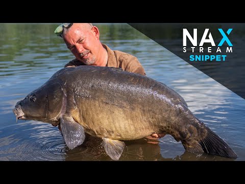 Stellenwahl in verkrauteten Gewässer - Karpfenangeln mit Meik Pyka - Nax Stream Snippet