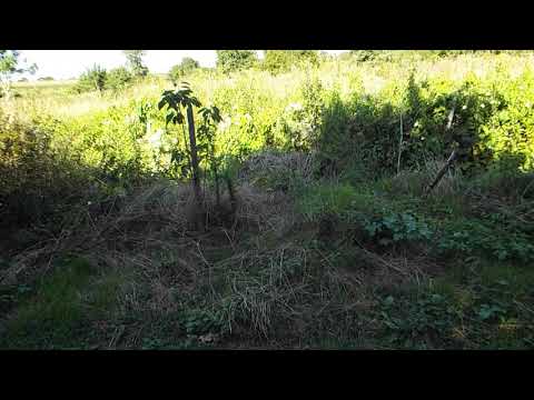 French CCE camouflage - Test 2