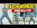 15 Min Daily Tai Chi Workout Burn Belly Fat Ease Joint Stiffness