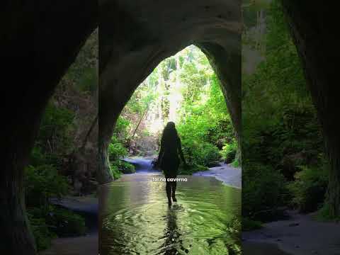 Esse foi o memorável Dia 2 em #presidentefigueiredo #amazonas #manaus #ugc #amazonia #natureza