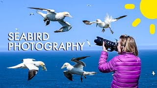 Making The Time To Photograph What You Love | Photographing Seabirds in Scotland