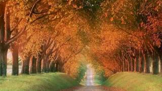 Akasha - Brown Sugar