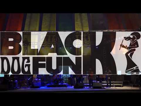 Elthon Dias e Black Dog Funk - Milestone