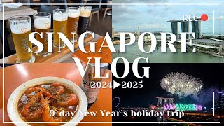【年末年始シンガポールVlog後編】超特等席!ベストスポットで年越しカウントダウン!年越しの花火が最高でした | ローカルグルメはやっぱり蝦麺が最高!