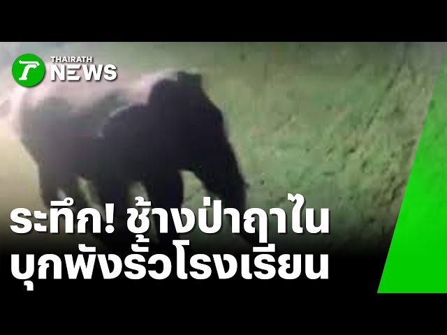 ระทึก ช้างป่าฤาไน บุกพังรั้วโรงเรียน : ภาวะโลกร้อง | 25 ธ.ค. 68 | ไทยรัฐเจาะประเด็น