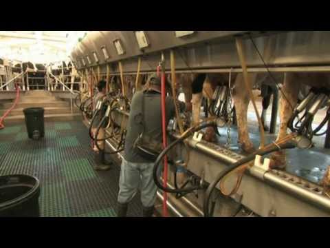 GEA Farm Technologies - AutoRotor Global90i