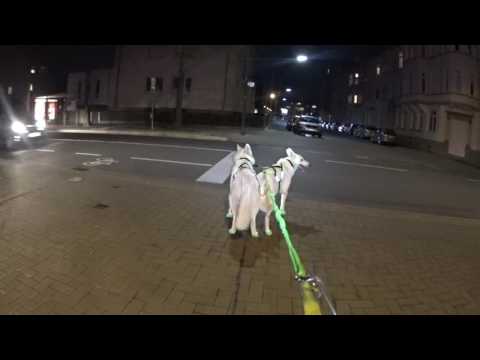 2017-02-15 - Rückweg Paderbau