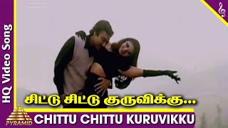 Chittu Chittu Kuruvikku Video song  Ullathai Allit