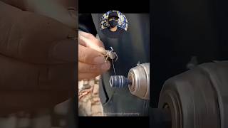 బ్రిడ్జ్‌లకు Spider Silk ఎందుకు వాడరు? #facts #shorts #shortsfeed #viral #trending