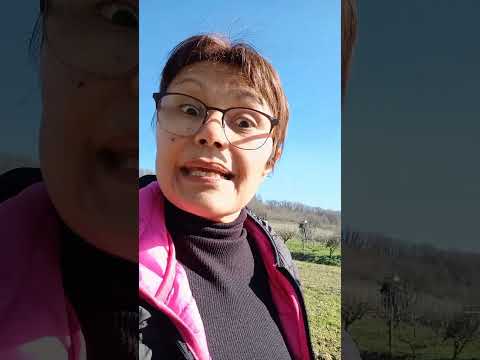 O significado de espírito livre na filosofia de Nietzsche