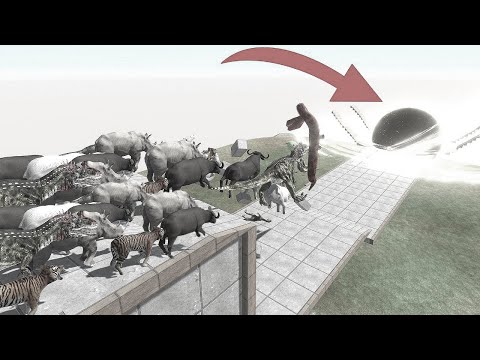 Animals Run Into Black Hole! Who Can Escape From It?