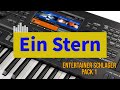 Schlager DJ | Ein Stern | der deinen Namen trägt - DJ Ötzi, Nik P | Keyboard Cover on Yamaha Genos