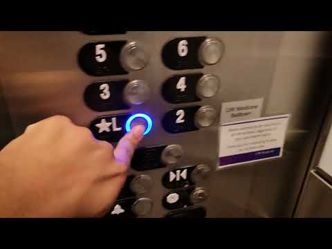 Modded 1989 Otis Series 1 Traction Elevators @ 2505 Second Avenue, Seattle WA