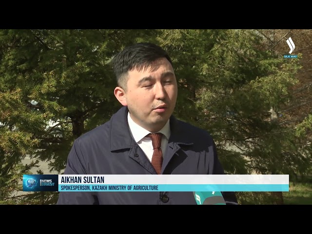 Во второй декаде мая по всему Казахстану стартуют весенне-полевые работы