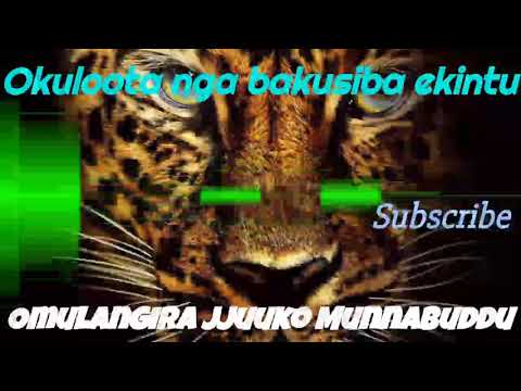 Okuloota nga bakusiba ekintu - Omulangira Jjuuko Munnabuddu
