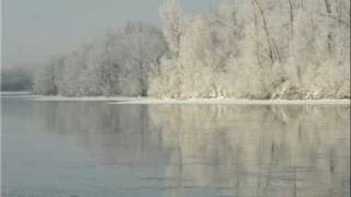 Frozen Beach by Lange