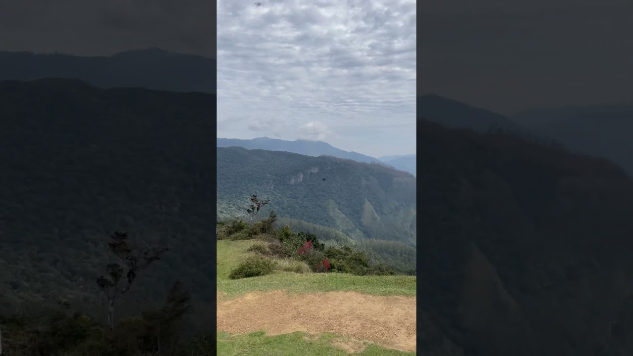 YouTube Short thumbnail