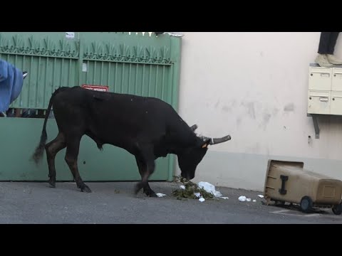 NOVES ENCIERRO 5.05.23