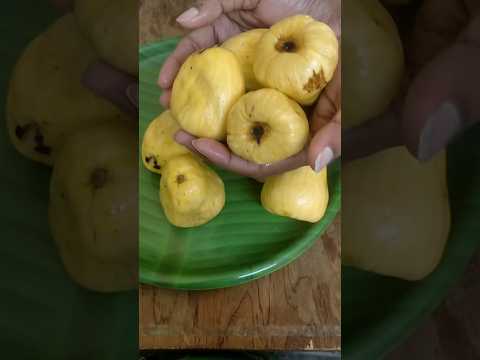 can you guess this fruit name #shorts #fruits #ytshorts #youtubeshorts